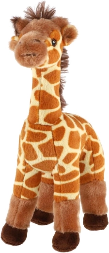 Aspecto adorable de jirafa