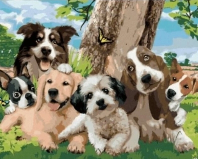 Norimpex Pintura por números Perros bajo el árbol 40 × 50 cm