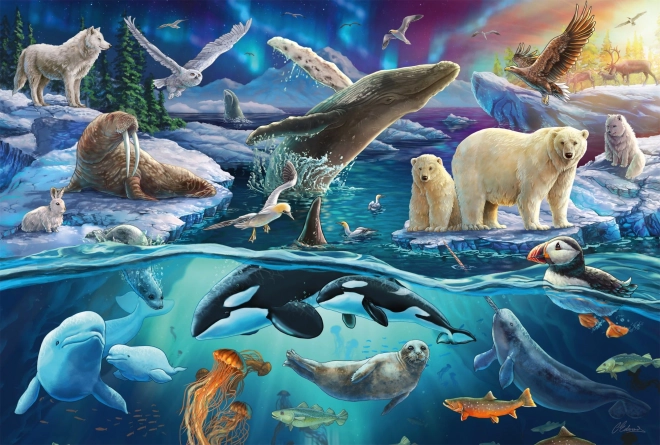 Puzzle Animales Árticos 150 piezas