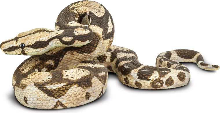 Boa constrictora Safari Ltd. - 1 pieza