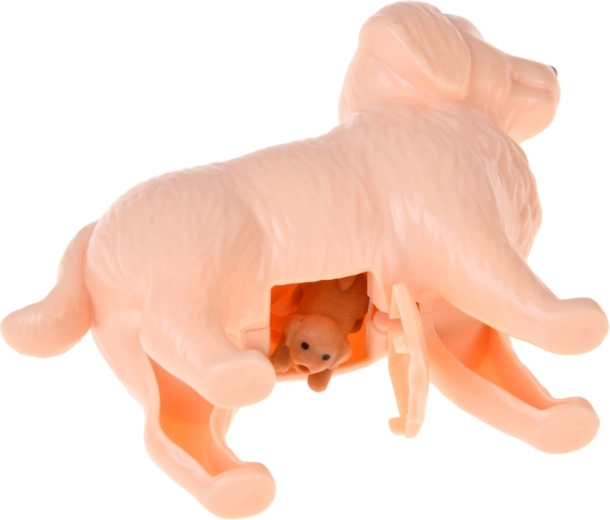Barriga abatible para los cachorros
