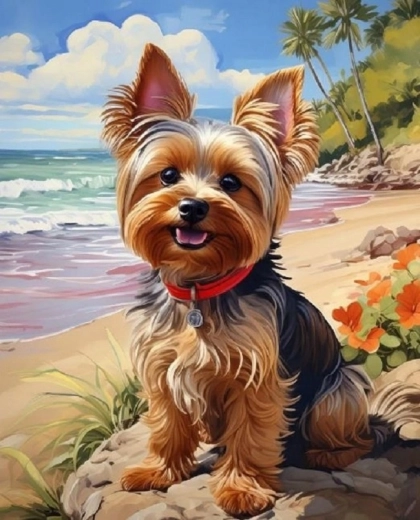 Norimpex Pintura por números Yorkshire en la playa 40 × 50 cm