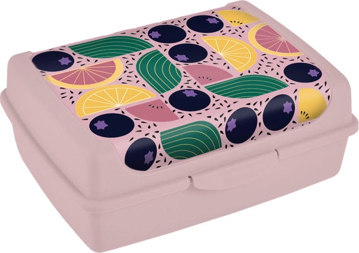 Caja para sándwich con cierre de clip 17 × 13 × 6,5 cm
