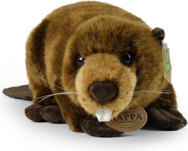 Relleno eco‑friendly de botellas PET recicladas