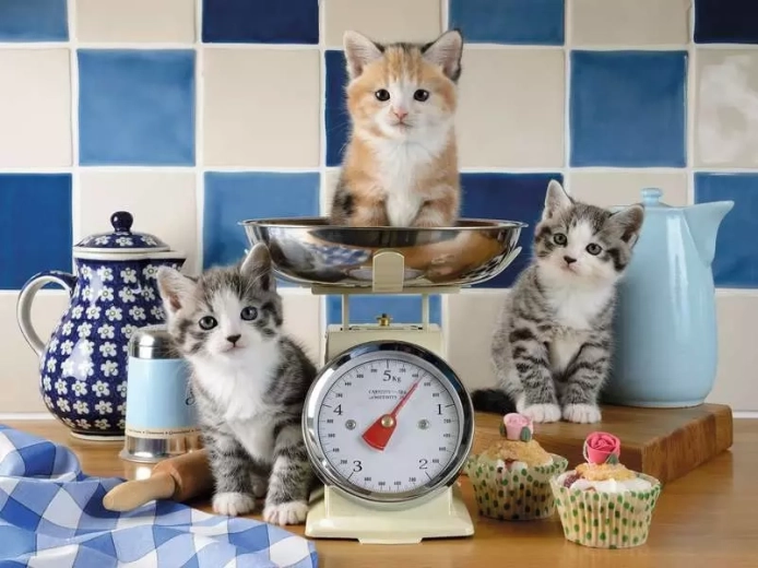 Puzzle Ravensburger Cocina de gatitos 1500 piezas