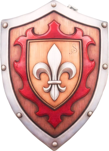 Escudo y espada de caballero Tristan de Souza!