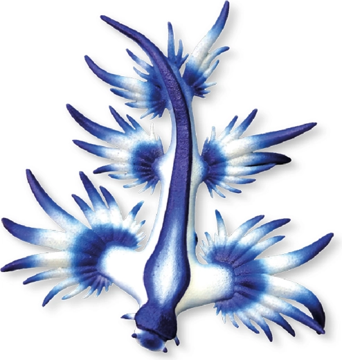 Bullyland figura de babosa marina azul