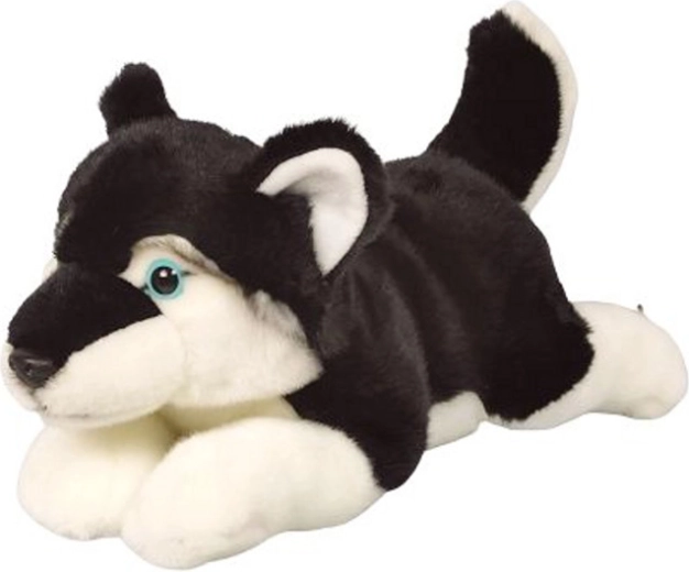 Husky de peluche 34 cm