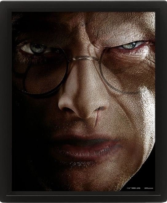 Cuadro 3D HARRY POTTER – Harry vs. Voldemort