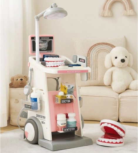 Modelo de mandíbula y abundantes accesorios