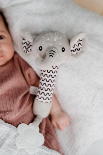 Mordedor para aliviar las encías