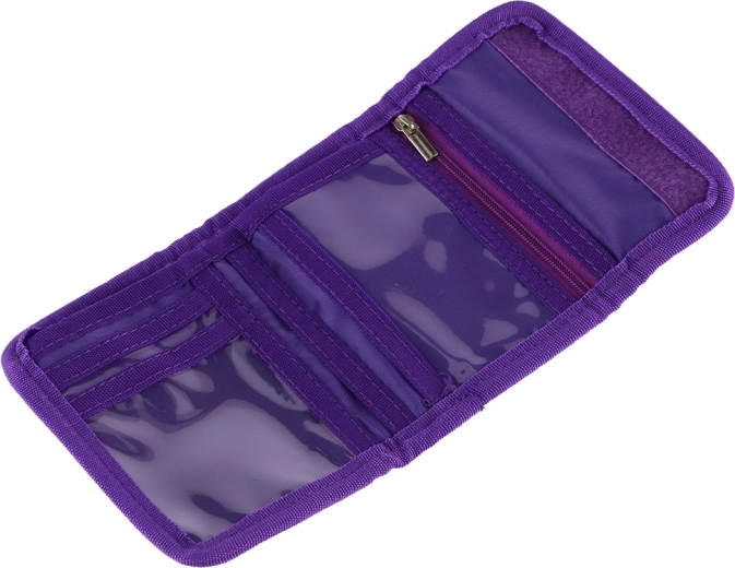 Organización clara de tarjetas y efectivo