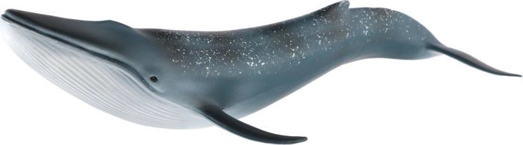Representación realista de la ballena