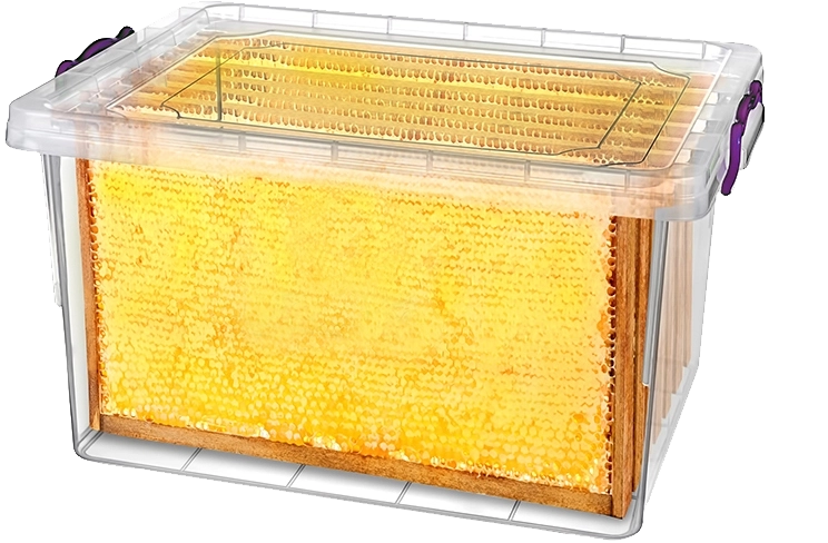 Almacenamiento seguro de cuadros de colmena