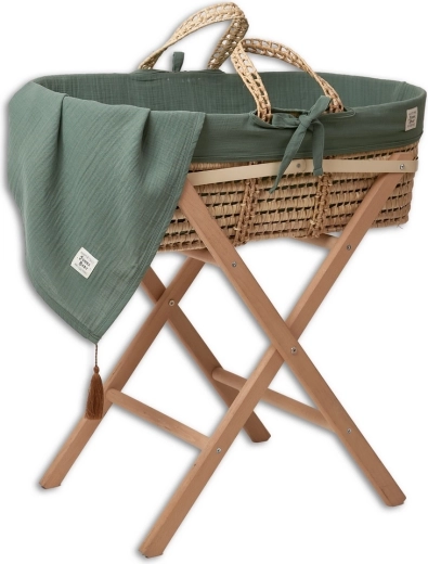 Funnababy set completo de Moisés con equipamiento Ivy green