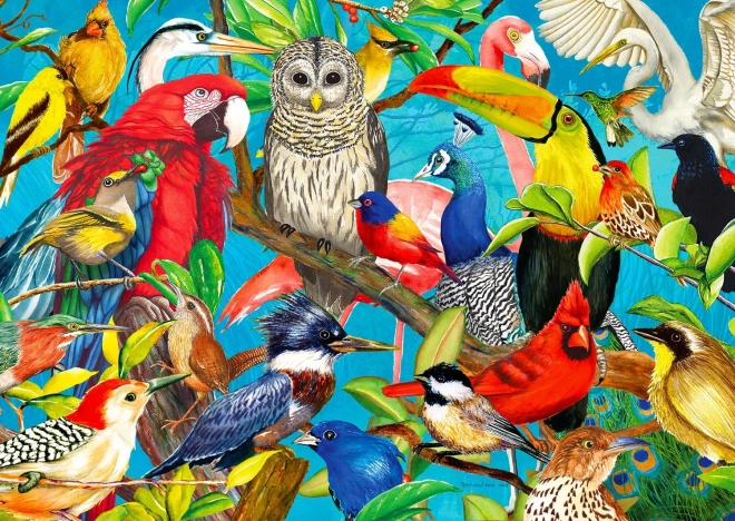 Puzzle Locura Plumífera 1000 Piezas
