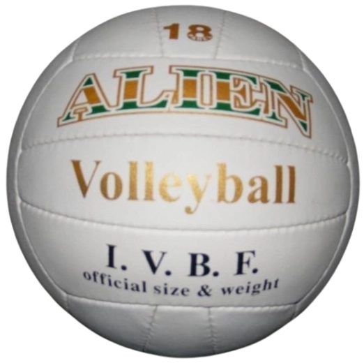 Balón de voleibol Alien 22 cm