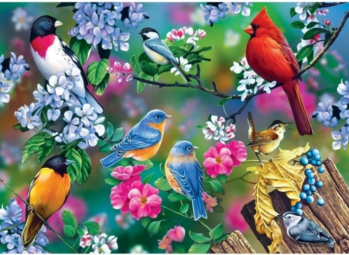 Puzzle Masterpieces Audubon collage de aves cantoras 1000 piezas