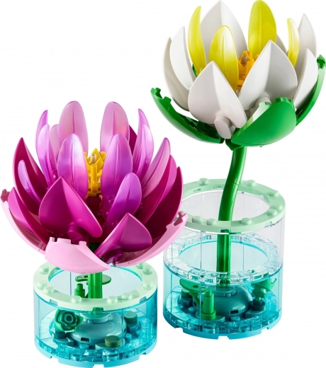 Decoración para el hogar y regalo para amantes de la naturaleza