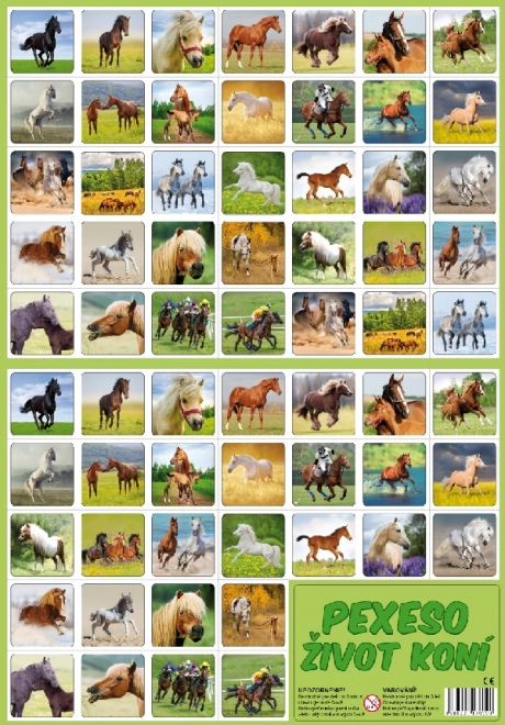 Memoria: vida de los caballos