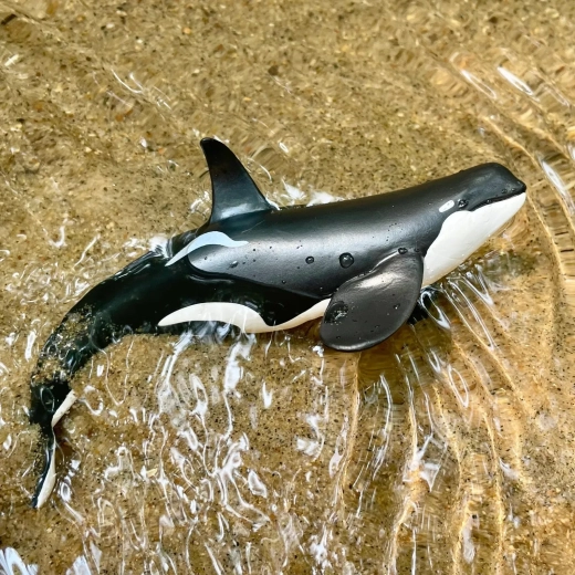 Apta también para jugar en el agua