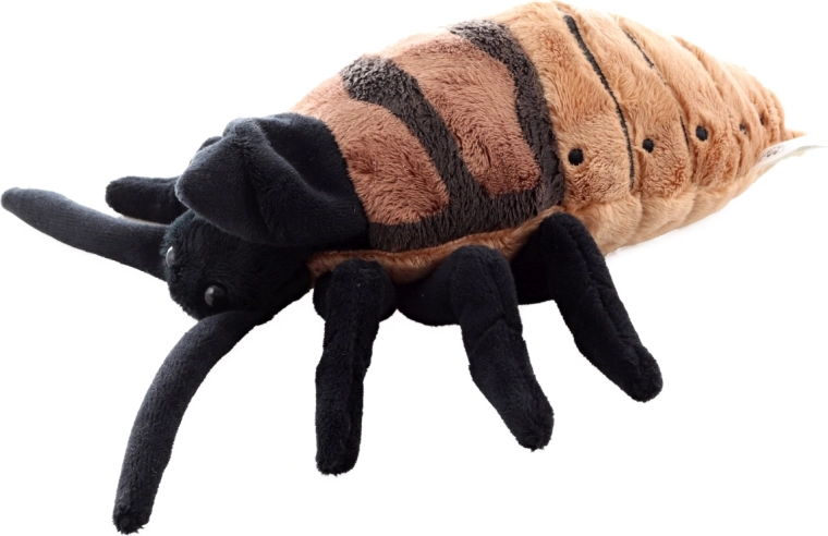 Tamaño ideal de 20 cm