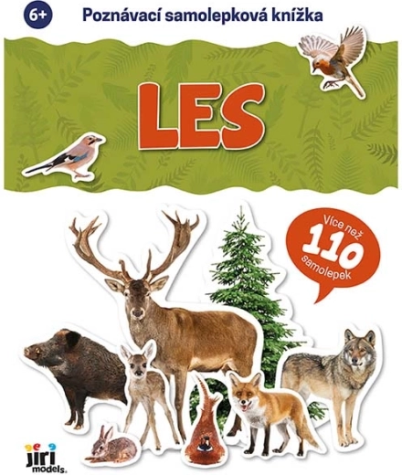 Libro de pegatinas educativo: bosque