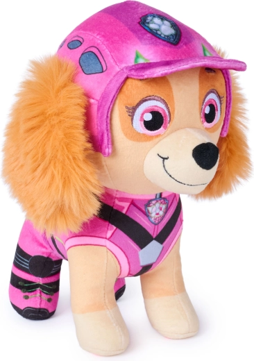 Aspecto de película Paw Patrol: Dinozaurios