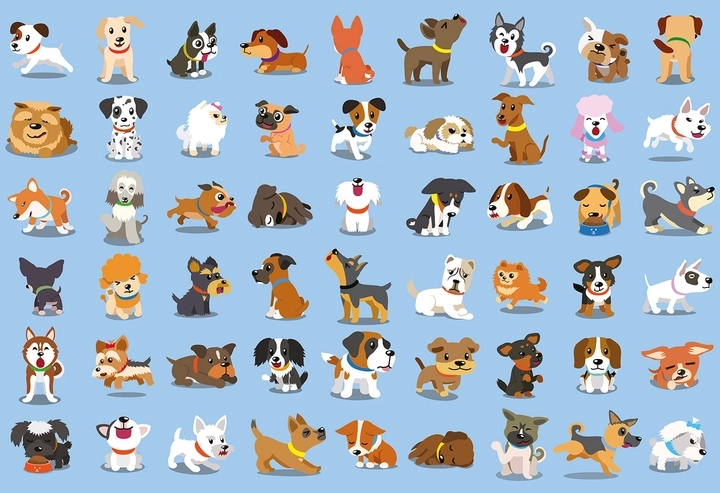 Puzle con pegatinas Perritos 250 piezas