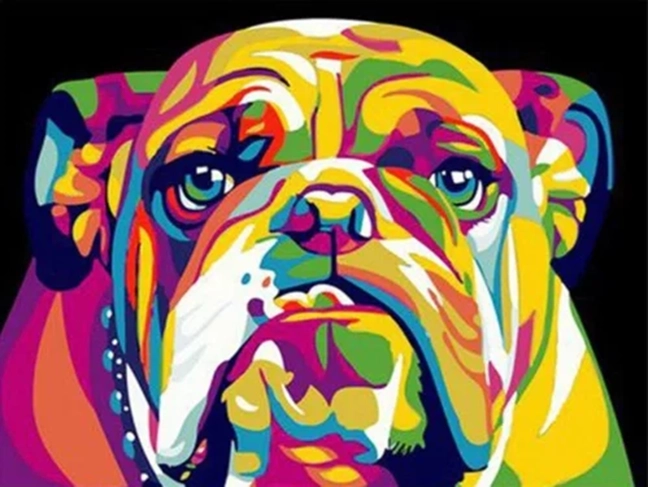 NORIMPEX Pintura por números Bulldog colorido 40 × 50 cm