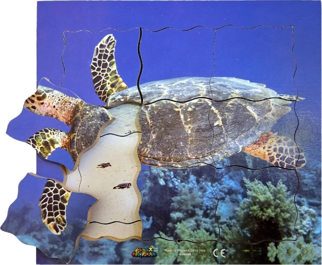 Puzzle de madera por capas: tortuga - 19 piezas
