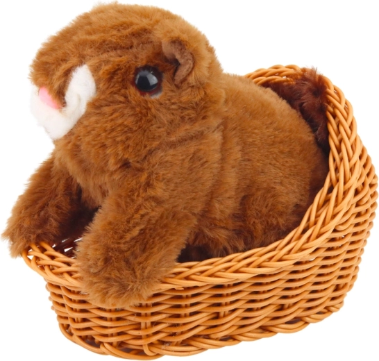 Peluche suave, seguro y resistente