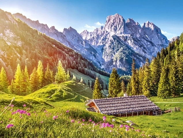 Puzzle de 500 piezas – Verano en los Alpes CASTORLAND
