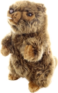Ardilla de peluche con sonido Eco-Friendly