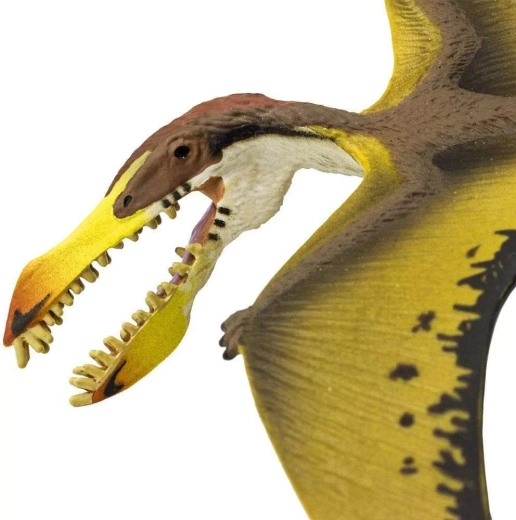 Dientes y cabeza detallados para un juego realista