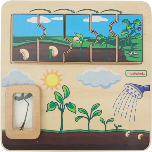 Masterkidz tablero educativo de madera – ciclo de vida del frijol