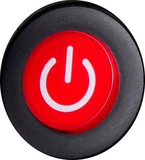 Interruptor para vehículo eléctrico infantil BMW M4 Li-Power 12,6 V