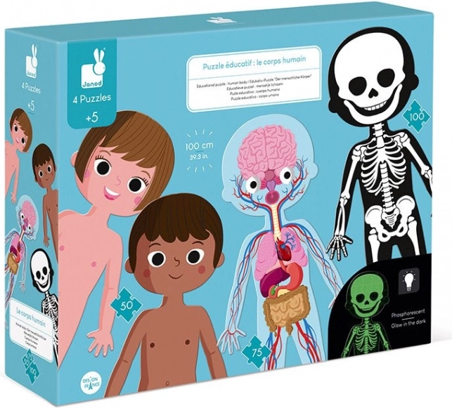 Puzle Cuerpo humano 3 en 1 Janod (50, 75 y 100 piezas)