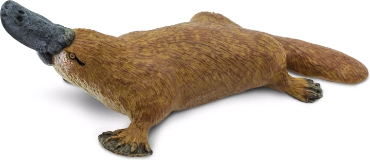 Safari Ltd. ornitorrinco extraño - 1 pieza
