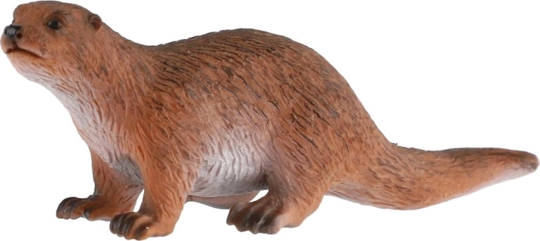Nutria representada fielmente