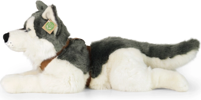 Aspecto realista de husky