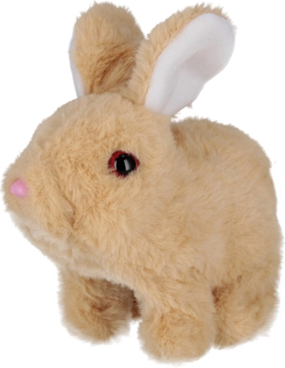 Movimientos y sonidos adorables