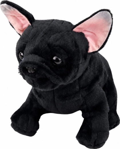 Aspecto realista del bulldog