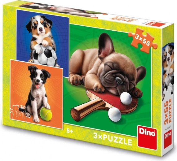 Puzzle Deportistas caninos 3×55 piezas