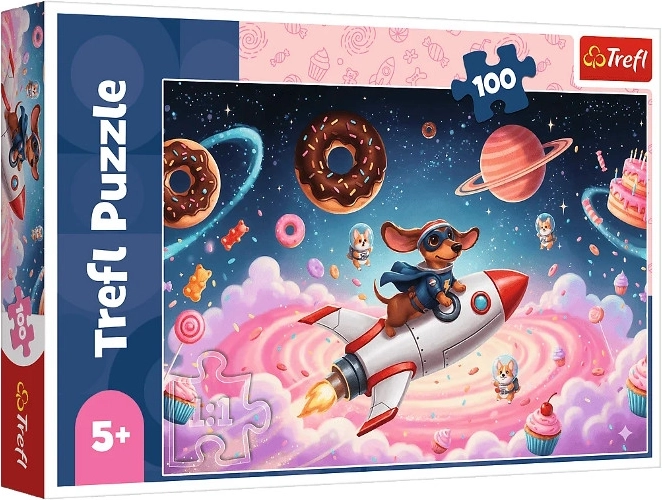 Puzzle de 100 piezas: erizo en un cohete