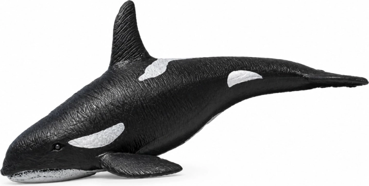Detalles realistas de la orca