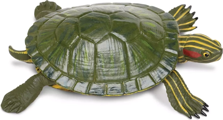 Figura de tortuga pintada Safari Ltd. - 1 unidad