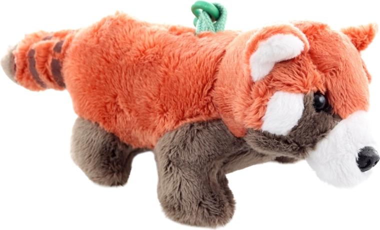 Adorable aspecto de panda roja
