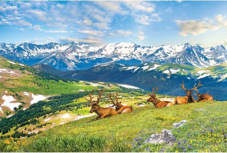 Puzzle de ciervos en las montañas 1000 piezas EUROGRAPHICS