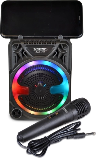Diversión de karaoke con micrófono incluido